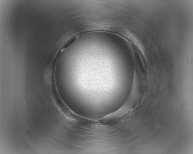 X0000071850107200607072312