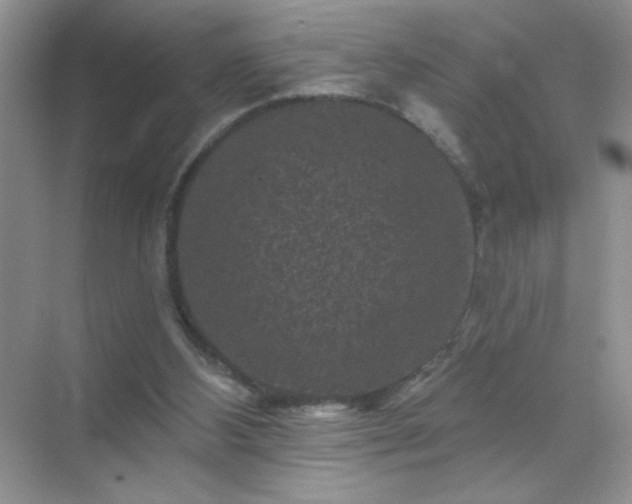 X0000071850108200607072312