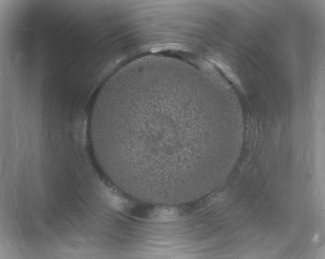 X0000071850110200607072312