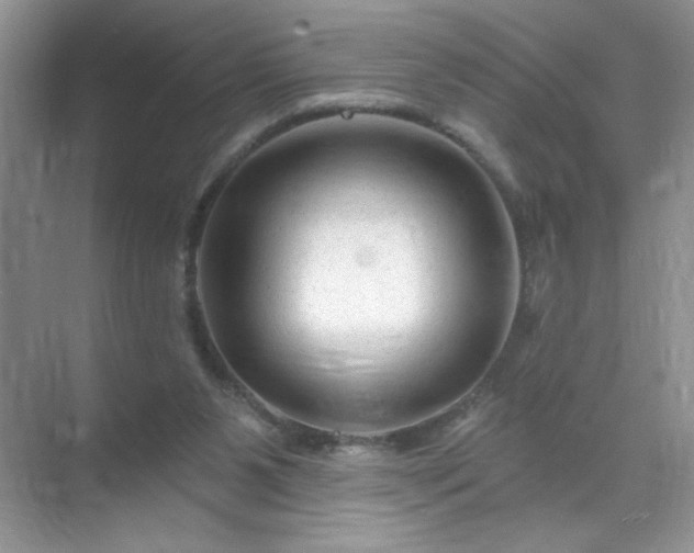 X0000071850111200607072311