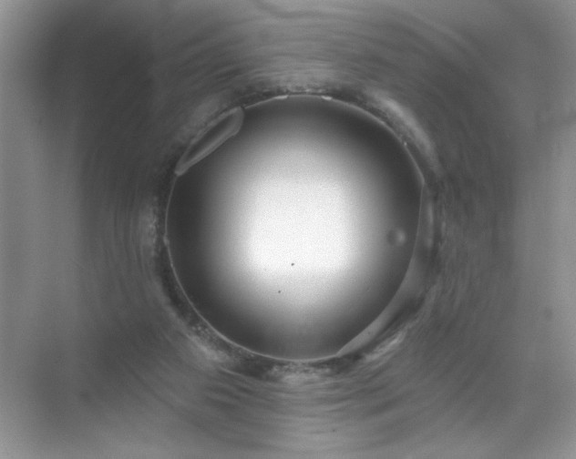 X0000071850113200607072311