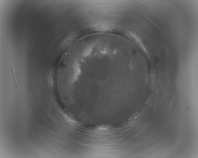 X0000071850114200607072311