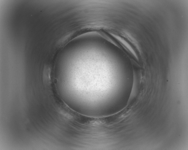 X0000071850115200607072311