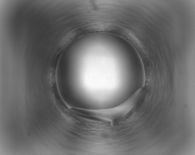 X0000071850119200607072311