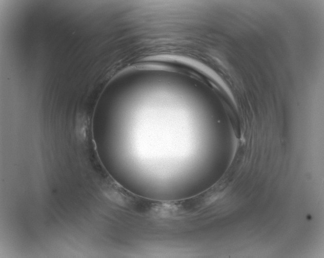 X0000071850125200607072311