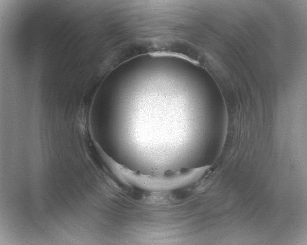 X0000071850129200607072311