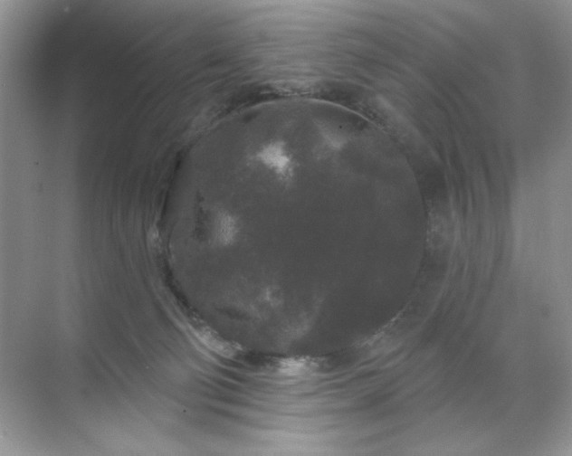 X0000071850130200607072311