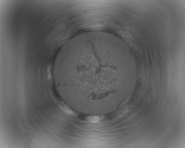 X0000071850131200607072311