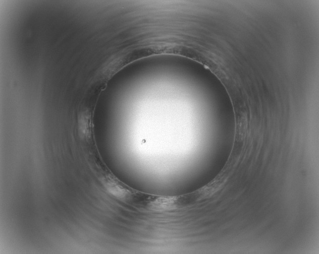 X0000071850138200607072311