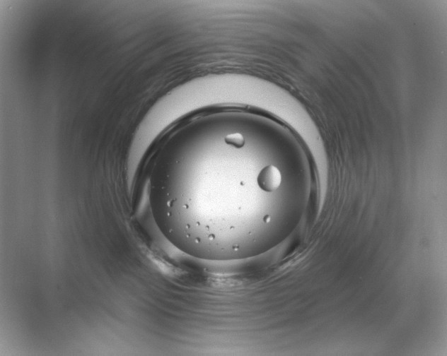 X0000071850141200607072311