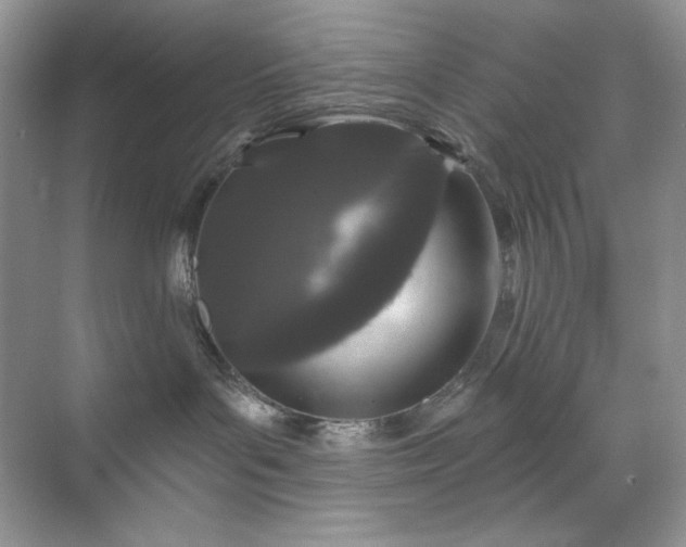 X0000071850143200607072311