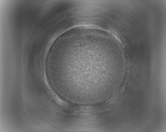 X0000071850145200607072310