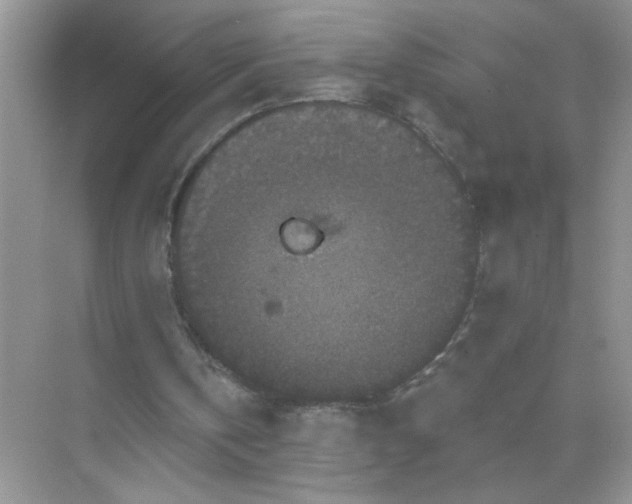 X0000071850146200607072310