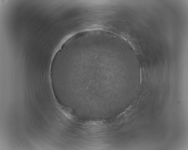 X0000071850147200607072310