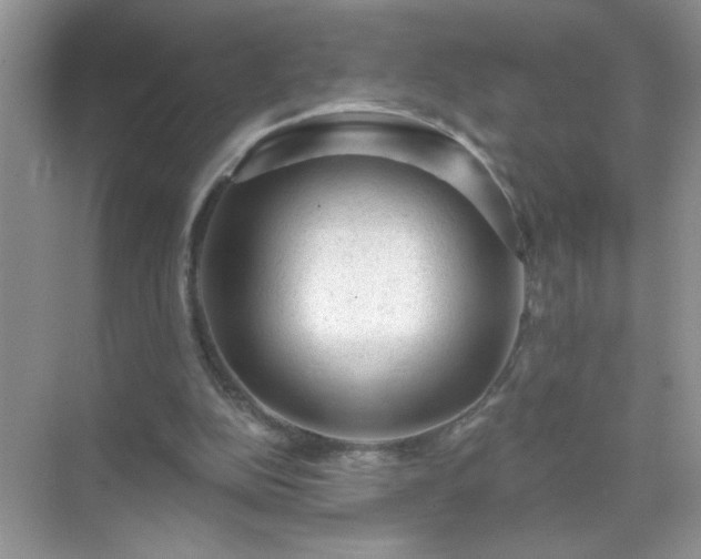 X0000071850152200607072310