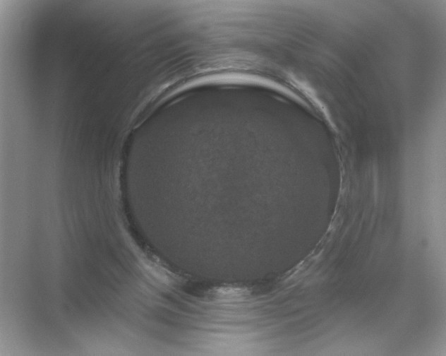 X0000071850154200607072310