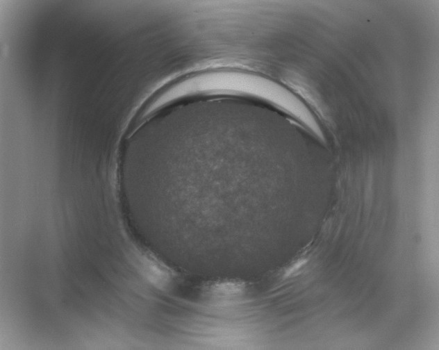 X0000071850156200607072310