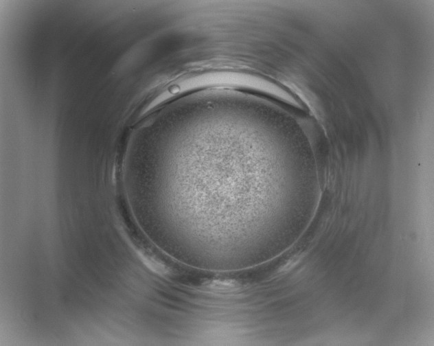 X0000071850157200607072310