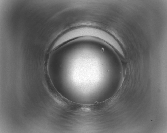 X0000071850159200607072310