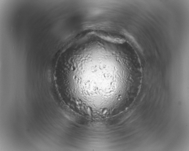 X0000071850161200607072310