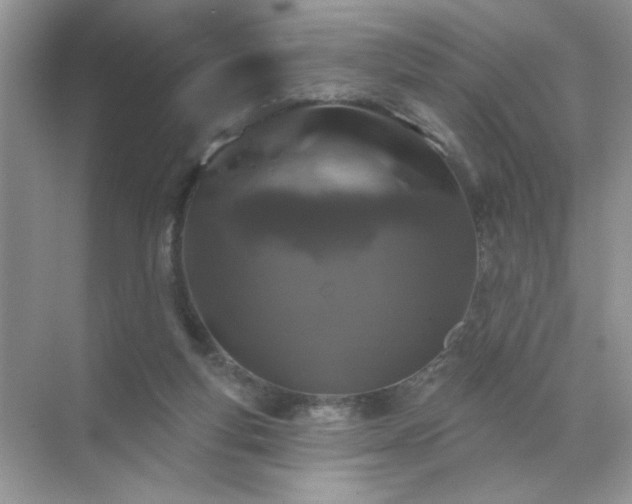 X0000071850163200607072310