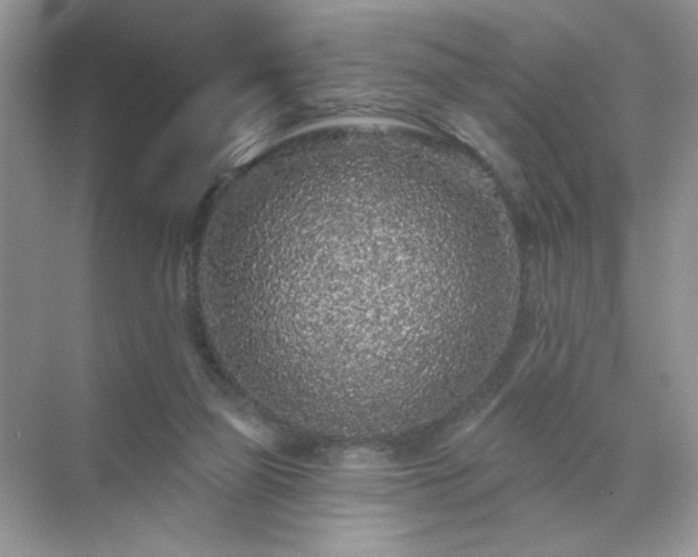 X0000071850165200607072310