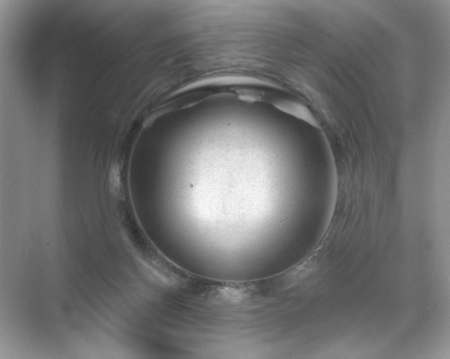 X0000071850166200607072310