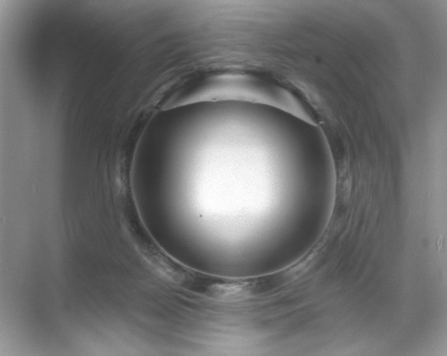 X0000071850170200607072311