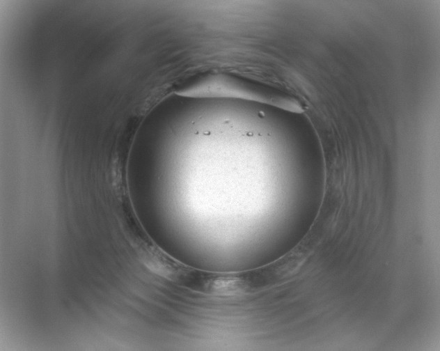 X0000071850173200607072311