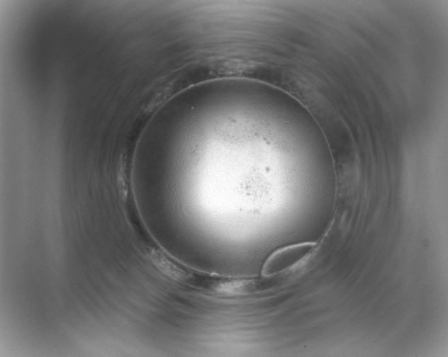 X0000071850178200607072311