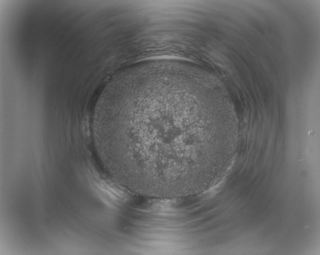 X0000071850182200607072311