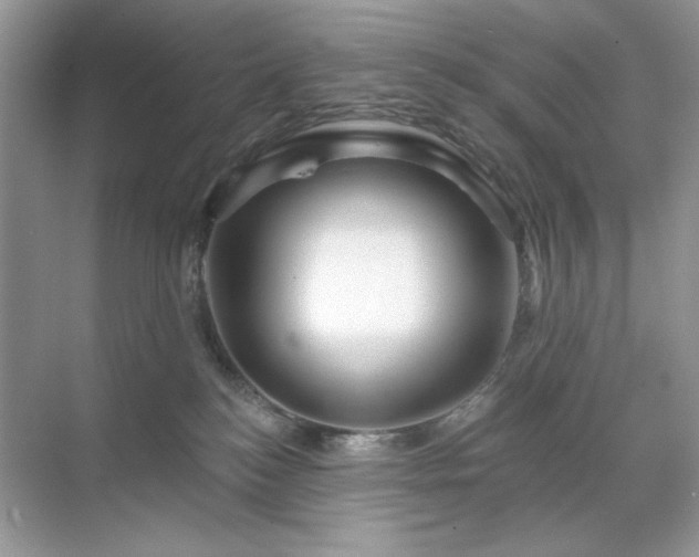 X0000071850184200607072311