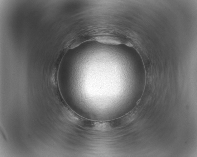 X0000071850185200607072311