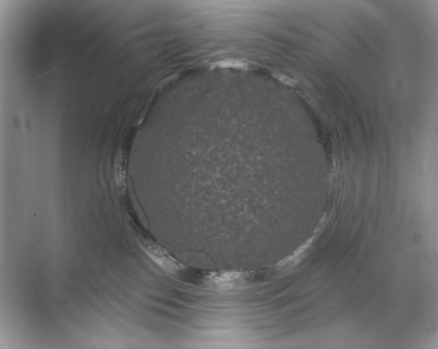 X0000071850186200607072311