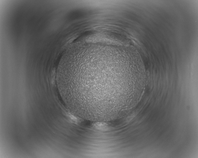 X0000071850189200607072311