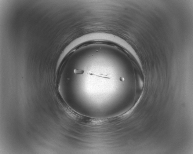 X0000071850190200607072311