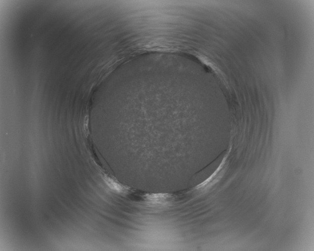 X0000071850192200607072311