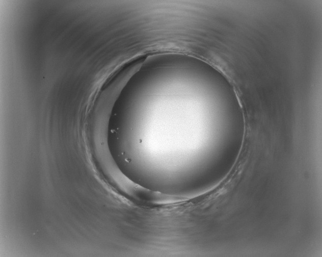 X0000071850193200607072310