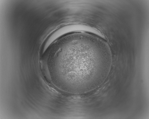 X0000071850194200607072310