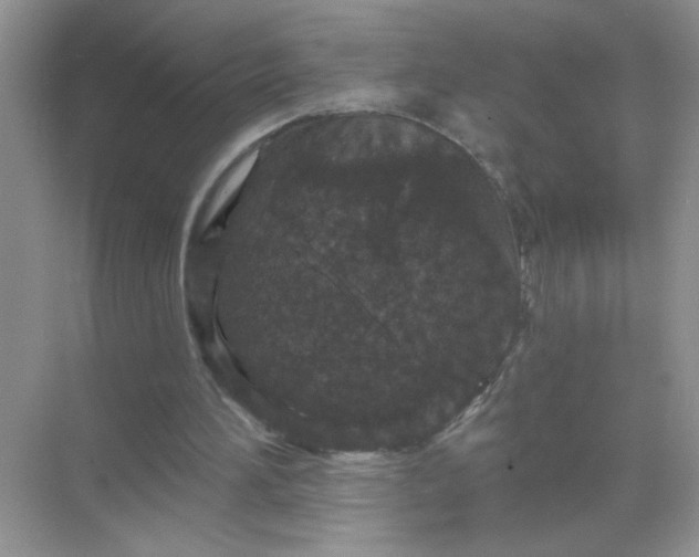 X0000071850196200607072310