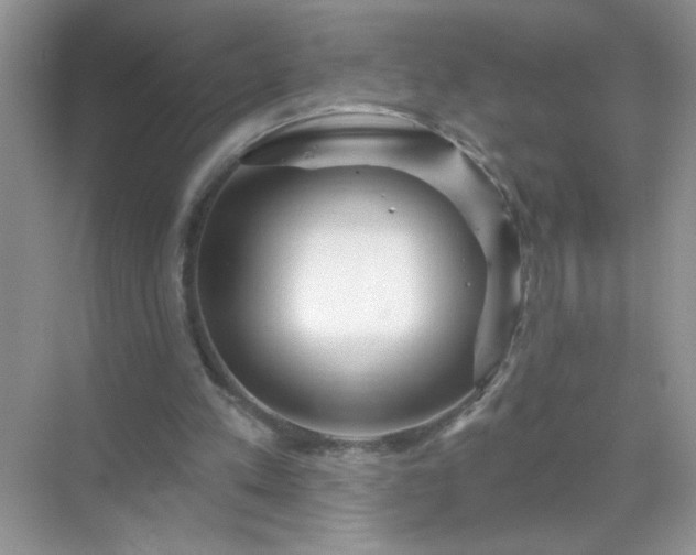 X0000071850197200607072310