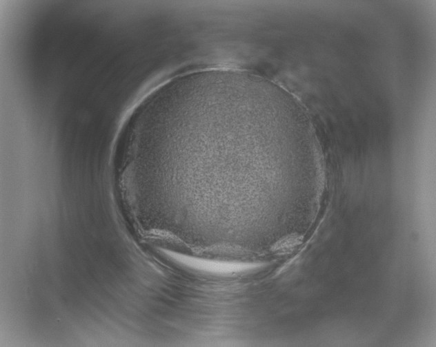 X0000071850198200607072310