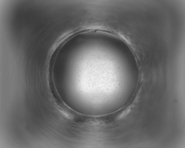 X0000071850199200607072310