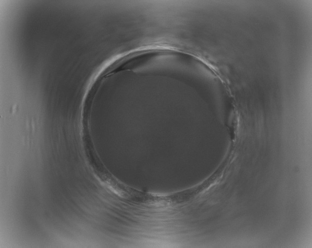 X0000071850200200607072310