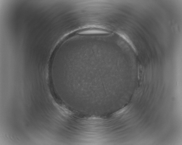 X0000071850204200607072310