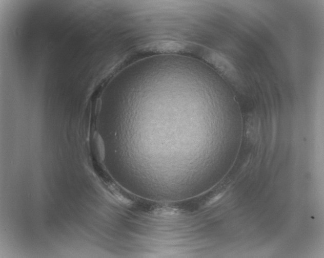 X0000071850206200607072310