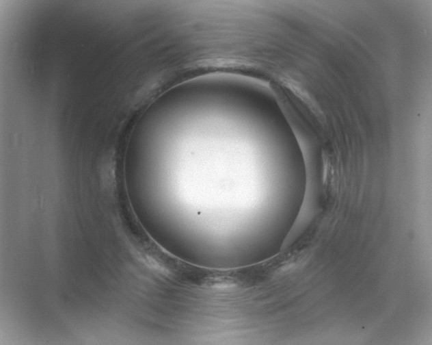 X0000071850207200607072310