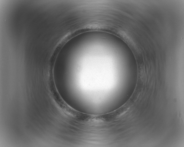 X0000071850208200607072310