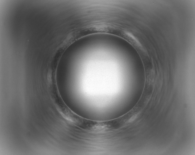 X0000071850213200607072310