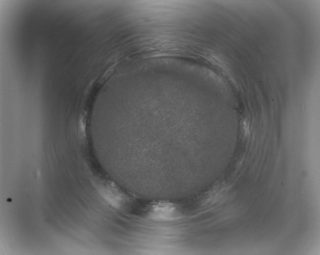 X0000071850214200607072310